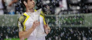 Andy Murray, David Ferrer