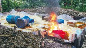 Más de 300 kilos de droga fueron incinerados 