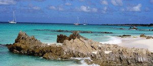 Isla-La-Orchila1