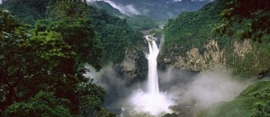 Yasuni