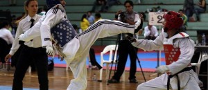 taekwando cuenca