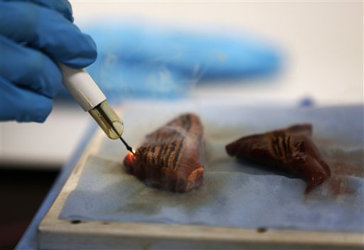 Un miembro del equipo desarrollador del "bisturí inteligente" utiliza el escalpelo en una parte de músculo animal durante una demostración en el St Mary's Hospital, en Londres, el miércoles 17 de julio de 2013. (Foto AP/Sang Tan)