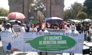 Manifestación por la Ley Orgánica de Bienestar Animal. Foto de Asociación Libera Ecuador.