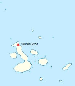 volcán wolf