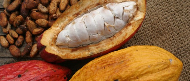 ECUADOR PROMOCIONA EN AUSTRALIA SU FINO CACAO Y OTROS PRODUCTOS