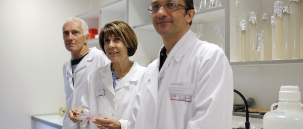 ESPERMA IN VITRO