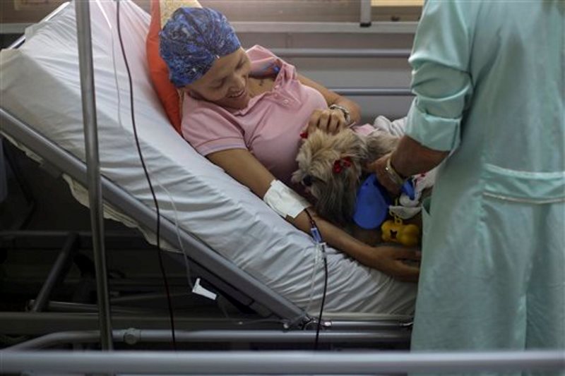 En imagen del 17 de noviembre de 2016, Herivania de Souza, una paciente de cáncer de 30 años, juega con un perro Shitzu llamado Mille que la visita en su cama como parte del programa de terapia canina en el Hospital de Apoyo de Brasilia, Brasil. (AP Foto/Eraldo Peres)