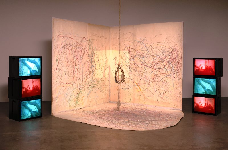 MOMA rinde tributo a la artista feminista Carolee Schneemann La