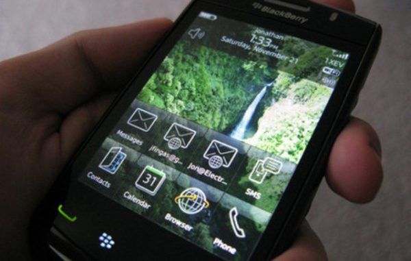 blackberry