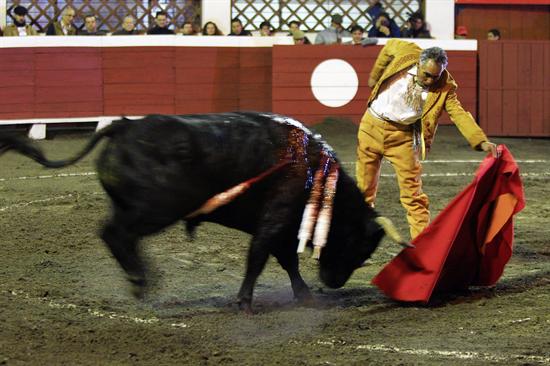 Toros quito