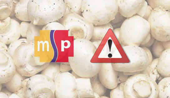 champinones_alerta2345