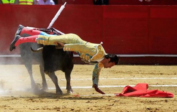 torero, hoy quito