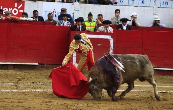 ponce-toros