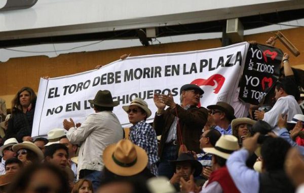protesta por los toros