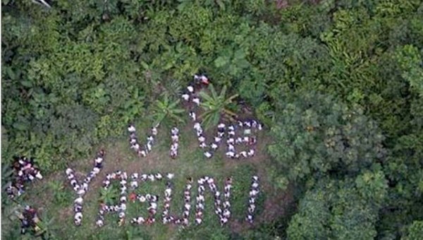 yasuni