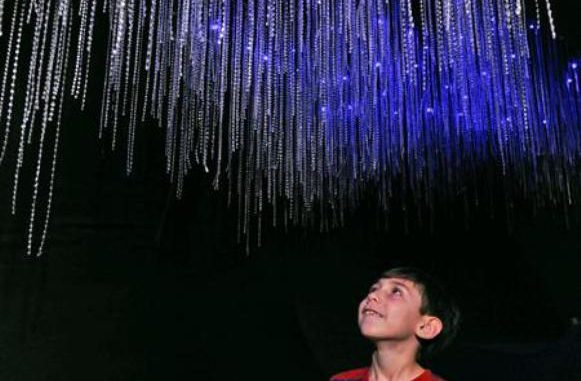 criaturas de luz