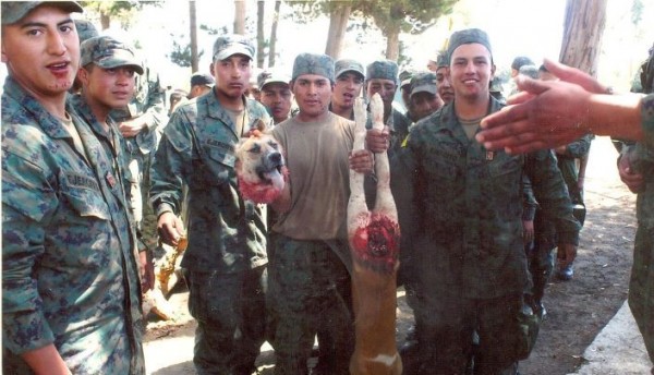 militares_perro_decapitado1