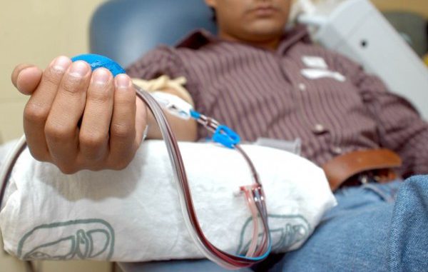 donacion sangre