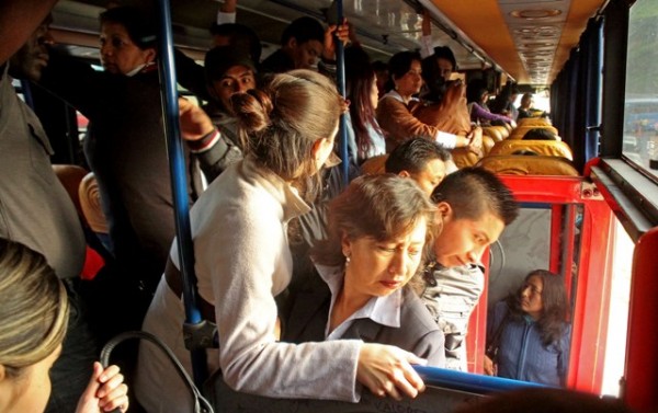 BUSES