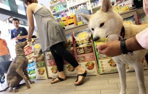 ITALIA-HELADO CANINO
