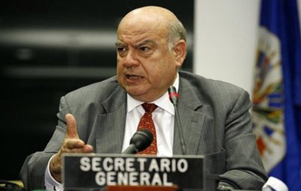 insulza