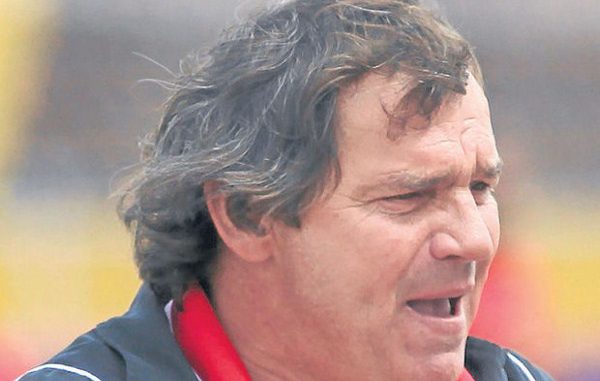 saralegui foto (600x426)