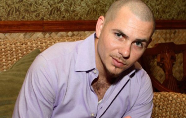 pitbull