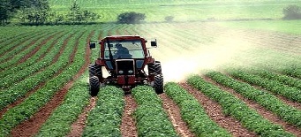 agriculture_tlc