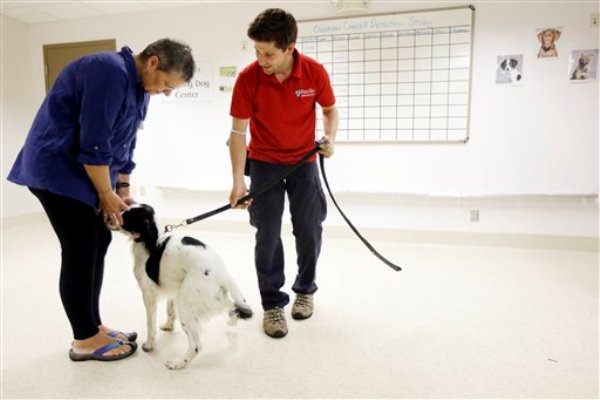 En esta foto del 1 de agosto del 2013, Jonathan Ball, derecha, presenta a Marta Drexler, paciente de cáncer ovárico, a McBain, que está en entrenamiento en un estudio que permitirá que el sentido del olfato de los perros detecte tejidos cancerosos en un centro veterinario en Filadelfia (AP Foto/Matt Rourke)
