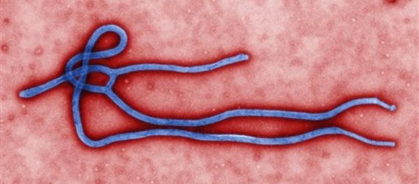 ébola