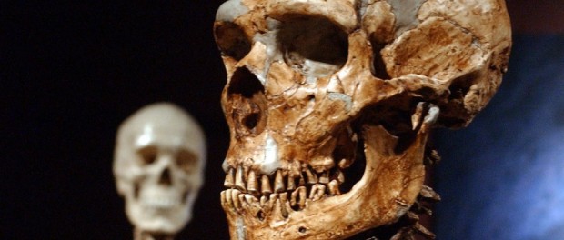 Neandertal