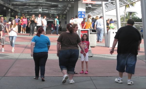 obesidad encuesta