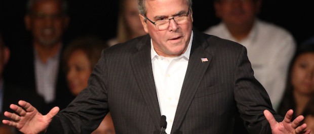 Jeb Bush