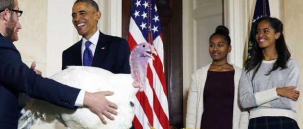 obama pavo