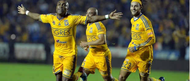 TIGRES - AMÉRICA