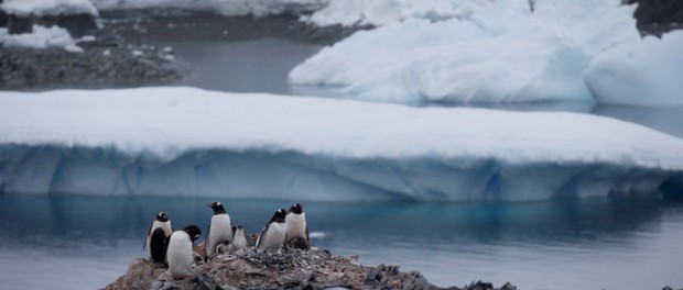 Antártica