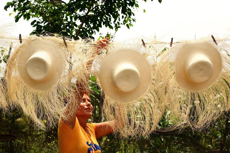 El sombrero de paja toquilla: tradición hecha arte en Ecuador La República EC