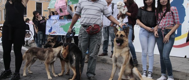 loba