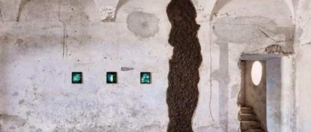 Mierda Museo
