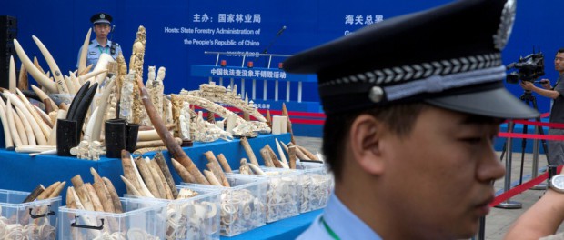 CHINA-MARFIL