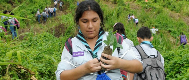 plantatón