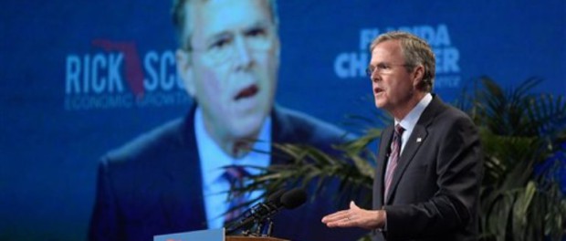 Jeb Bush