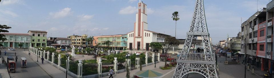 vinces
