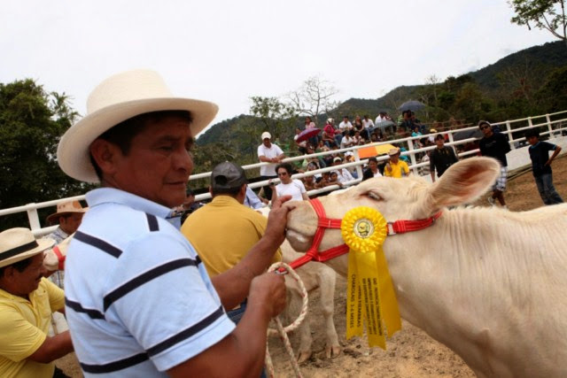 Expoferia Agropecuaria