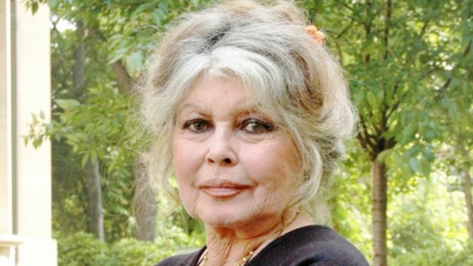 brigitte bardot