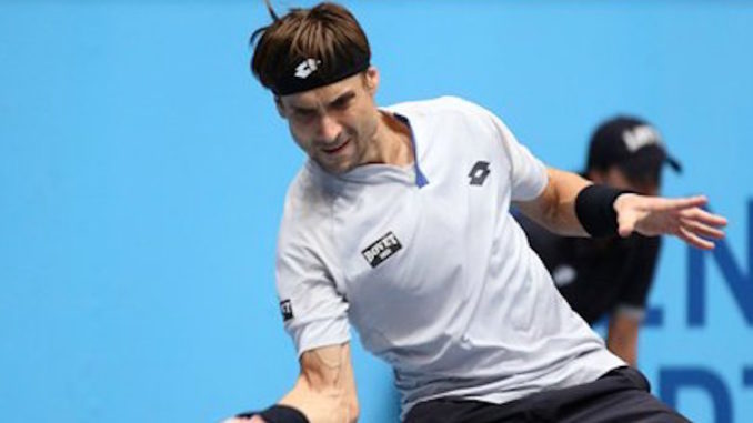 David Ferrer