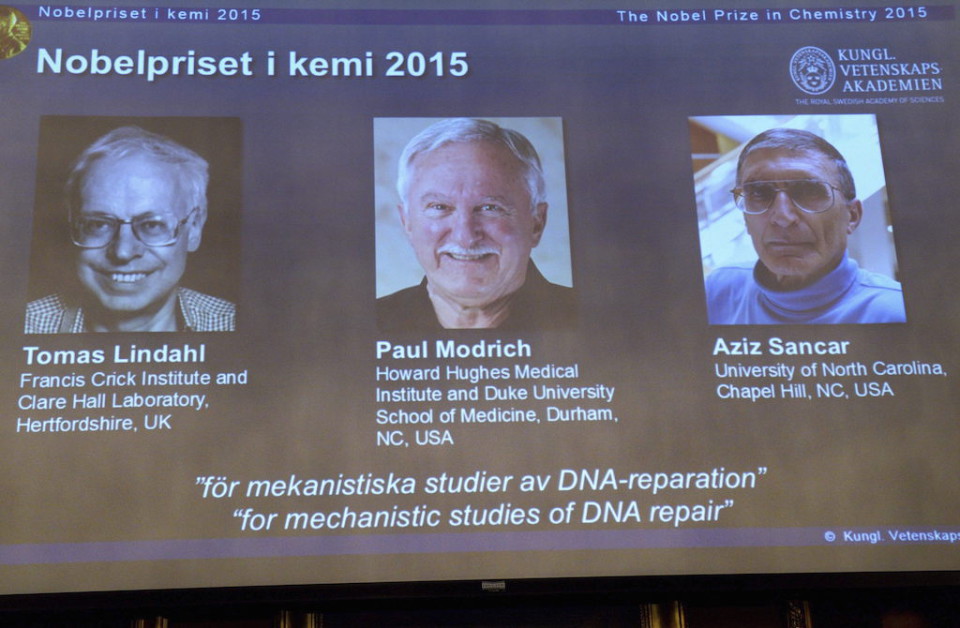 TRES INVESTIGADORES COMPARTEN EL NOBEL DE QUÍMICA POR ESTUDIOS SOBRE EL ADN