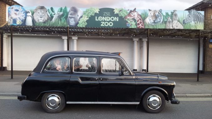 taxi