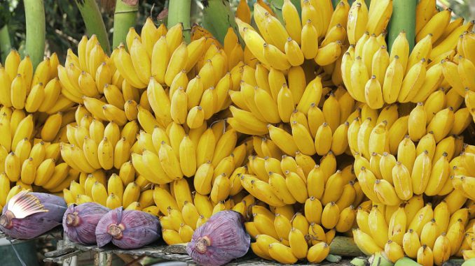 Banana