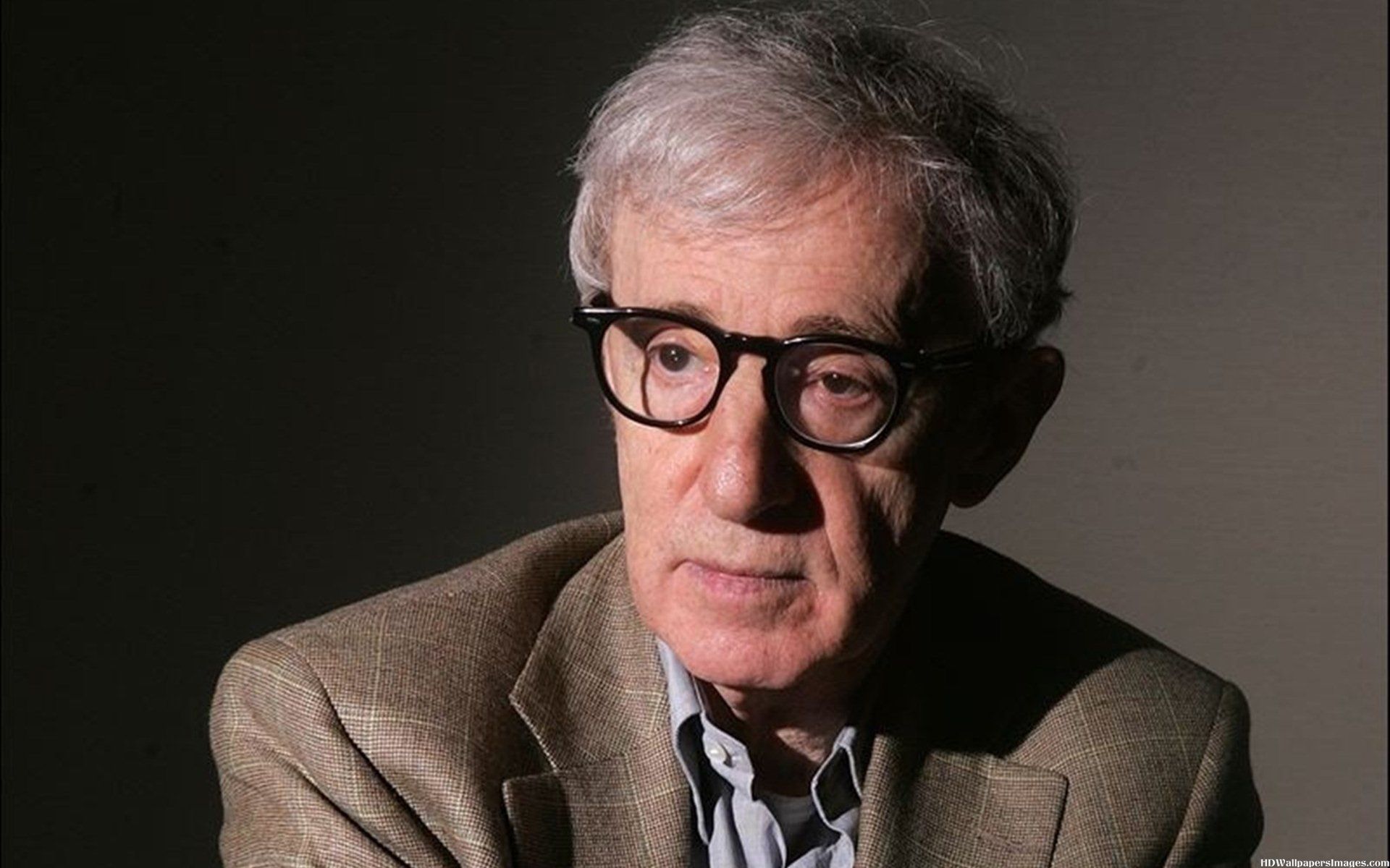 Woody Allen: I will continue making films as long as someone wants to finance the films |  The EC Republic